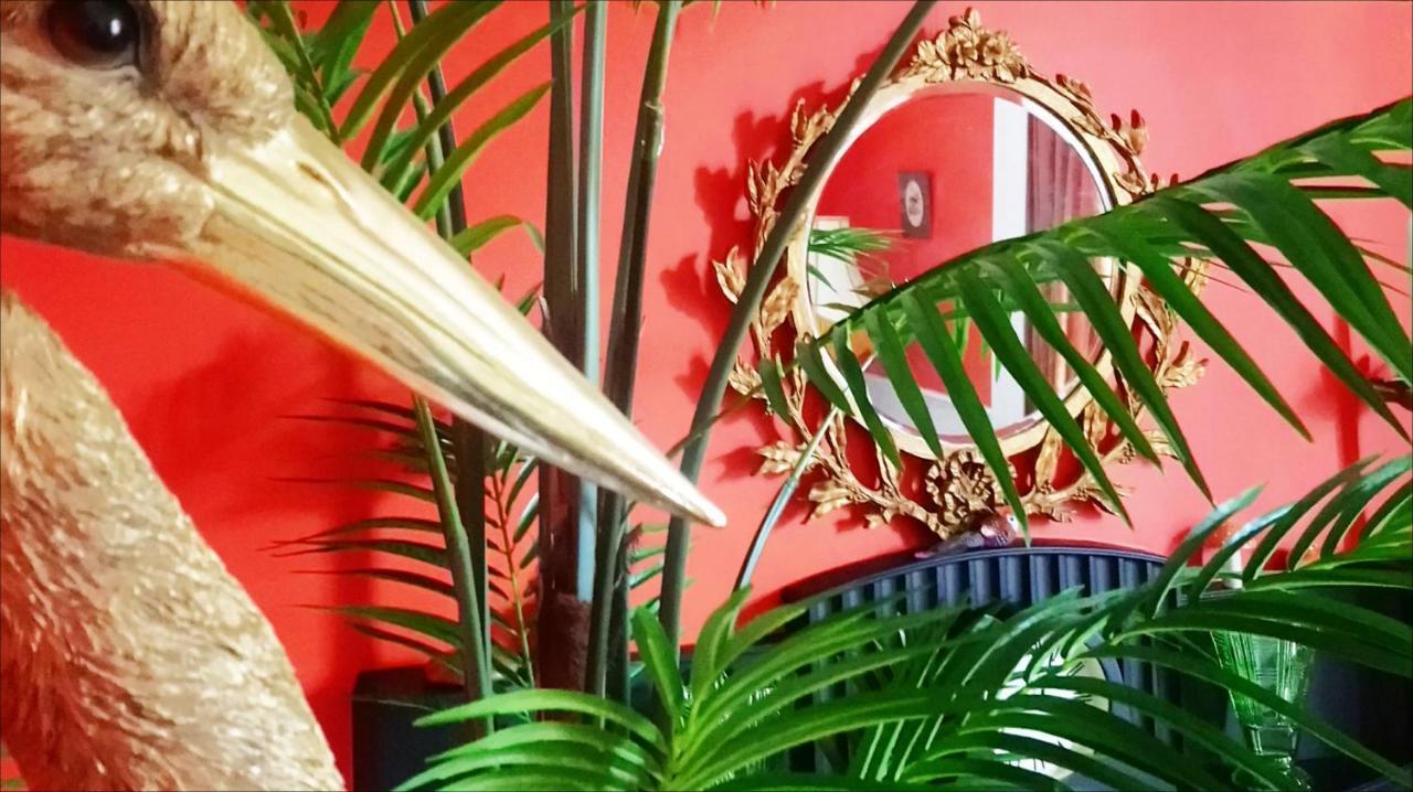 دوفتاون Little Robin B&B المظهر الخارجي الصورة